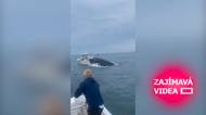 Obrovská velryba převrátila loď. Rybáři natočili dramatické záběry