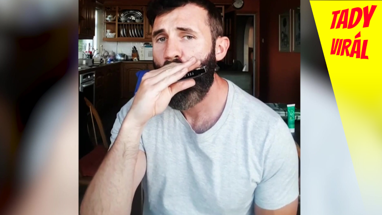 Beatbox na harmoniku Tady virál Dan Murphy Stream